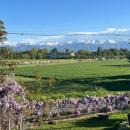 乡村民宿 La Casa Di Ada *